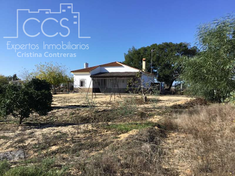 Exterior view of Country house for sale in Almonte