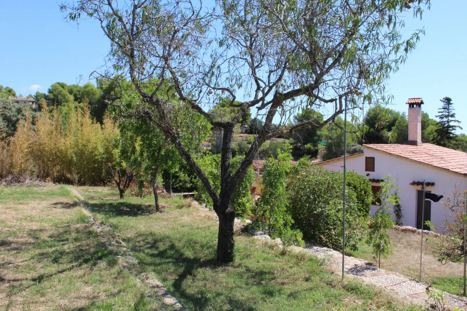 Jardín de Casa o chalet en venta en Vespella de Gaià con Jardín privado, Piscina y Amueblado