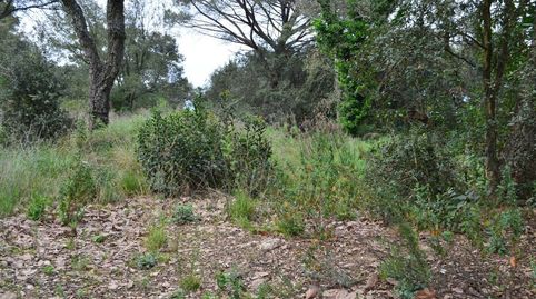 TERRENO EN BOSCOS DEL MONTNEGRE, immagine 3
