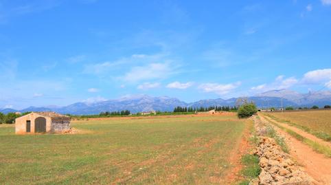 Photo 5 of Country house for sale in Llubí, Illes Balears