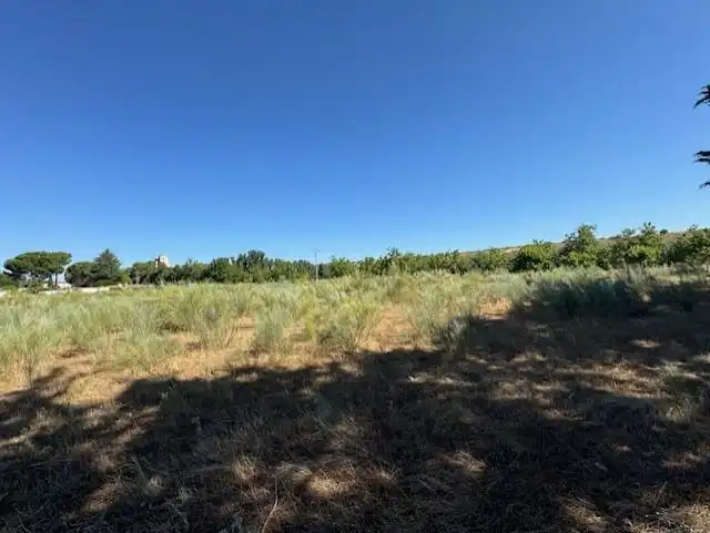 Terrenos y solares en venta en La Gloria, imagen 4