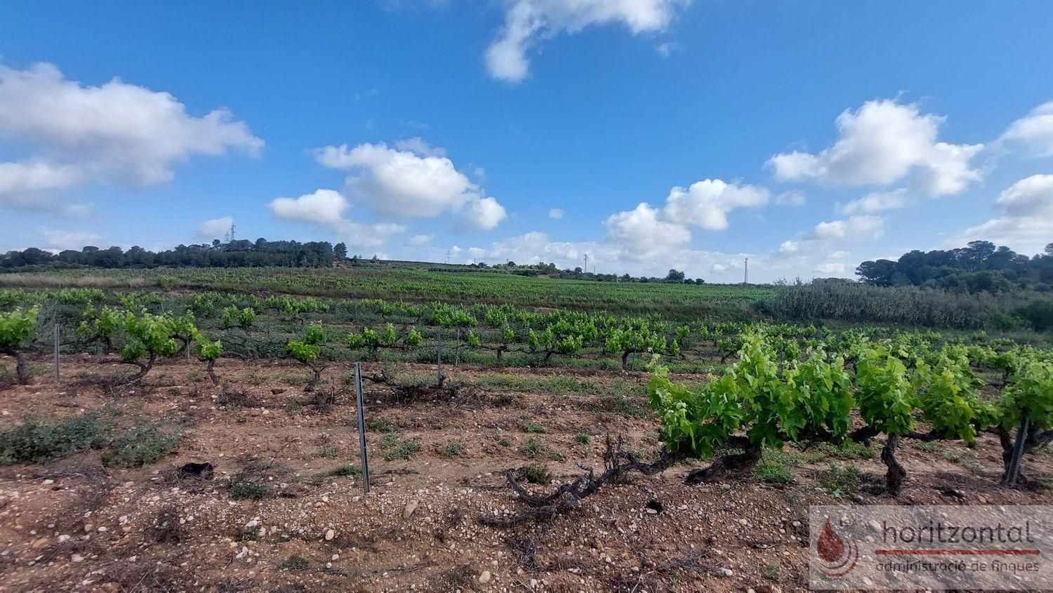 Residential for sale in La Secuita