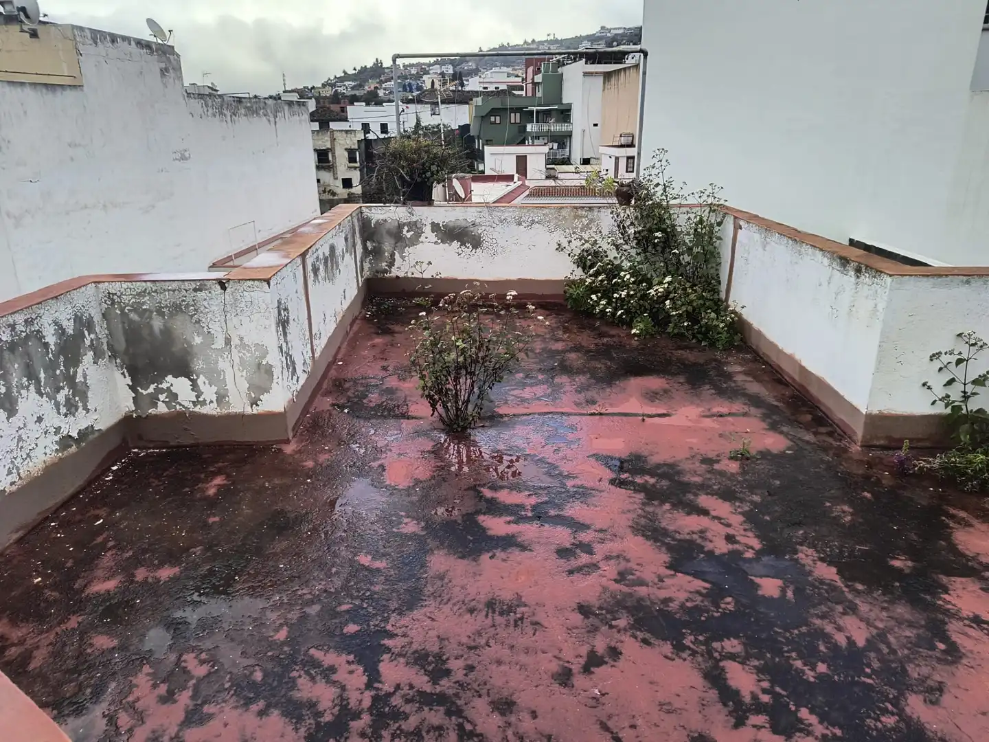 Terraza de Casa o chalet en venta en Los Realejos con Jardín privado, Terraza y Amueblado