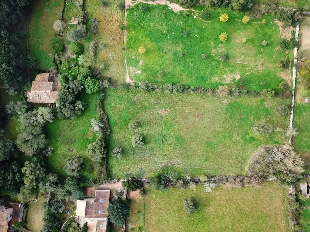Maison rustique avec jardin à vendre à Pollença Poble, imagen 8