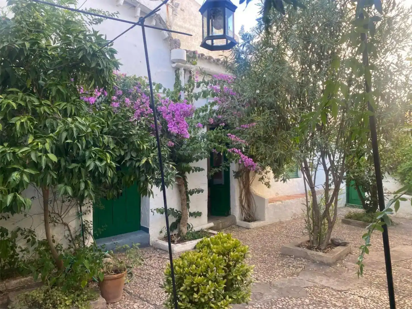 Vista exterior de Planta baixa en venda en Fuente del Maestre amb Jardí privat, Traster i Moblat