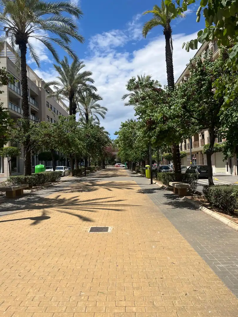 Pis de lloguer a Zona Avenida Alta - Auditorio