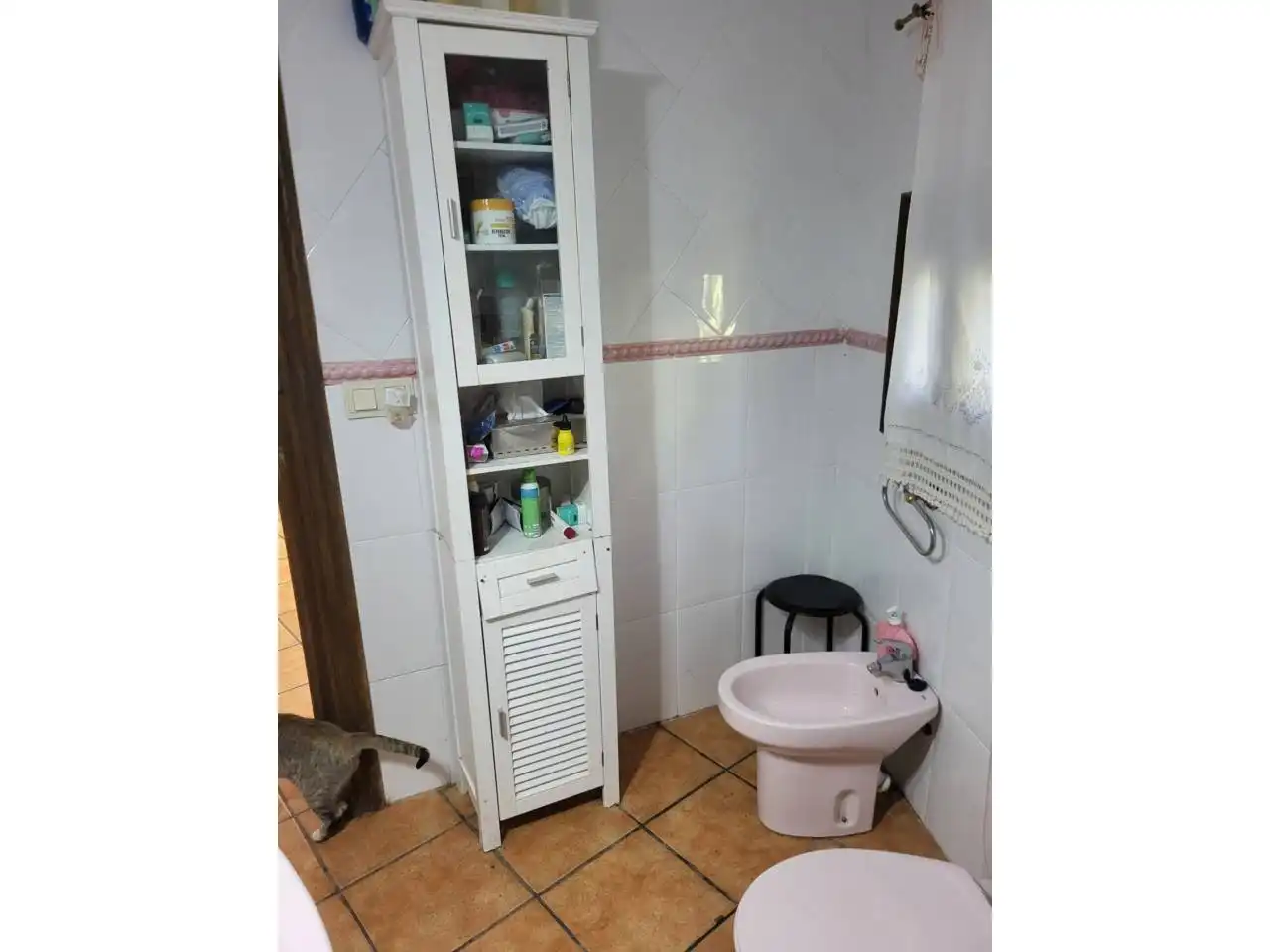 Chalet con piscina en venta en Baza, imagen 10