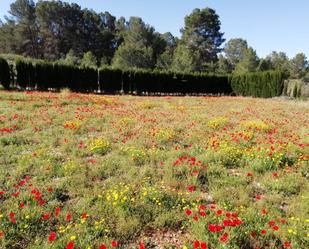 Jardí de Finca rústica en venda en Benigánim amb Terrassa