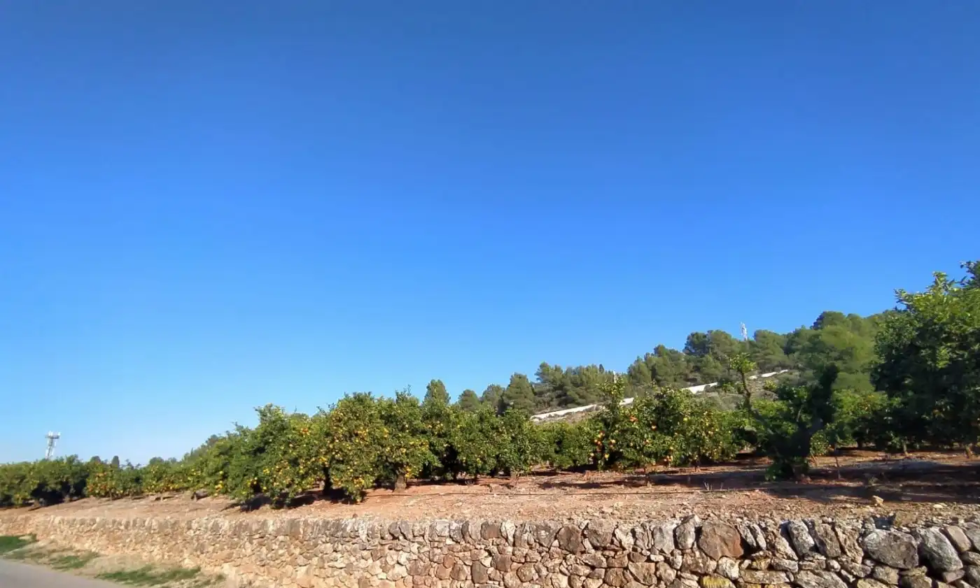 Terreno residencial en venta en Onda, imagen 3