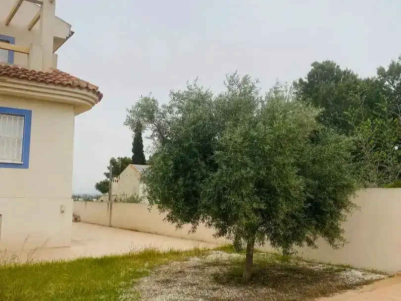 Casa o xalet en venda en Bigastro amb Piscina i Balcó