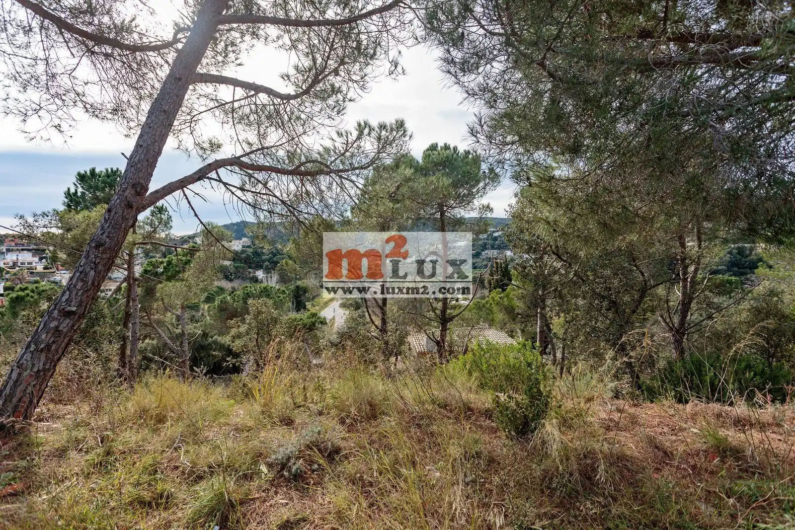 Terreny residencial en venda a Carrer Eucaliptus 14, imagen 4