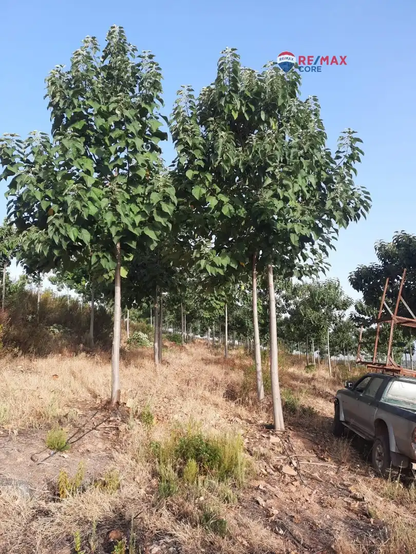 Terreni e lotti in vendita a Alburquerque, imagen 57