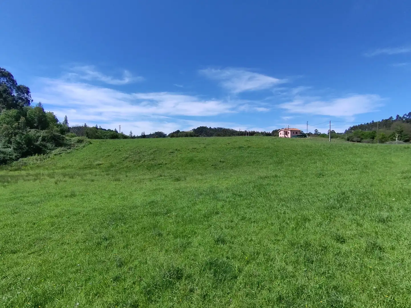 Terreny residencial en venda a Gijón - CR DE GALLINAL 203, imagen 21