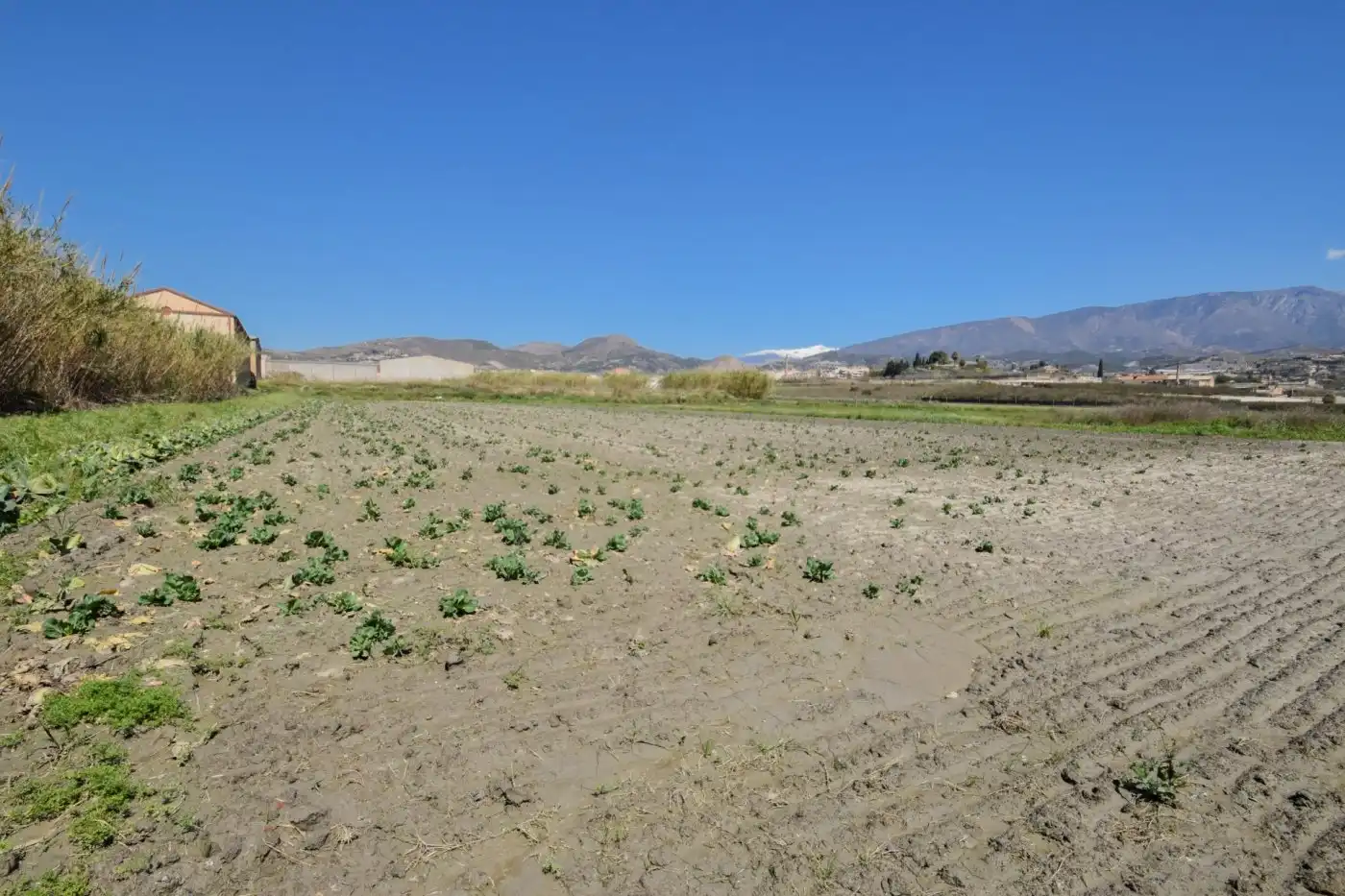 Terreni e lotti in vendita a EL VADILLO MOTRIL, imagen 19