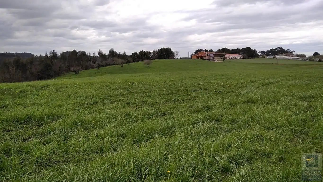 Grundstücke zum Verkauf in Carreño