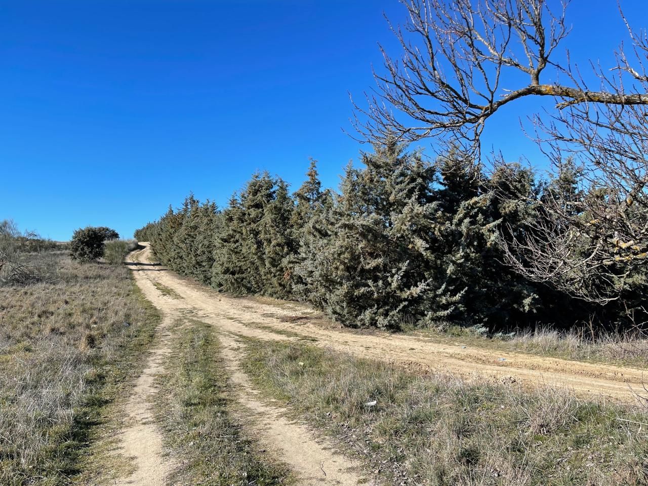 Residential for sale in Navalcarnero