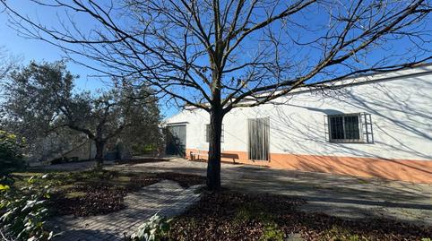 Photo 2 of Residential for sale in Morón de la Frontera, Sevilla