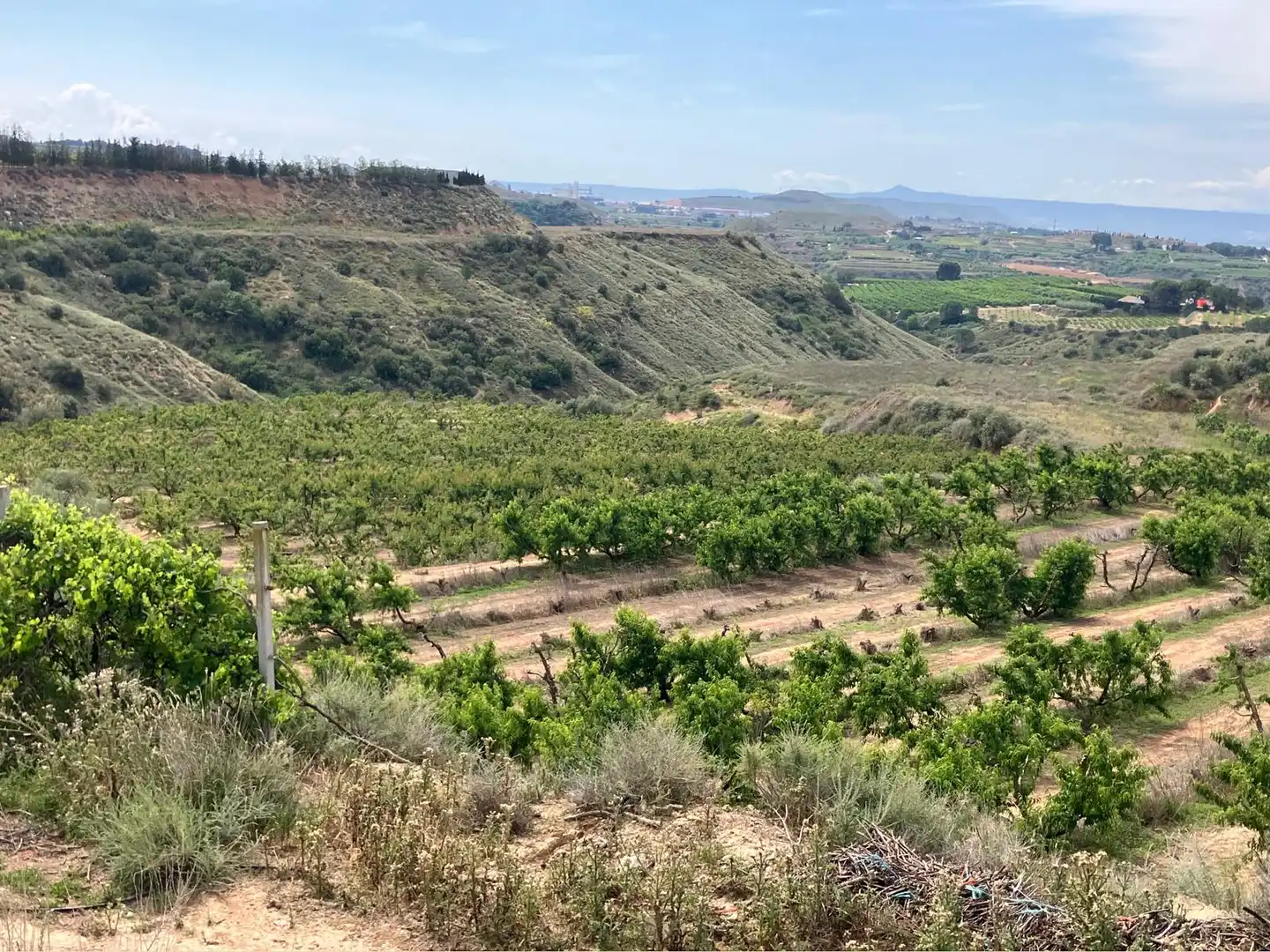 Terreni e lotti in vendita a Fraga