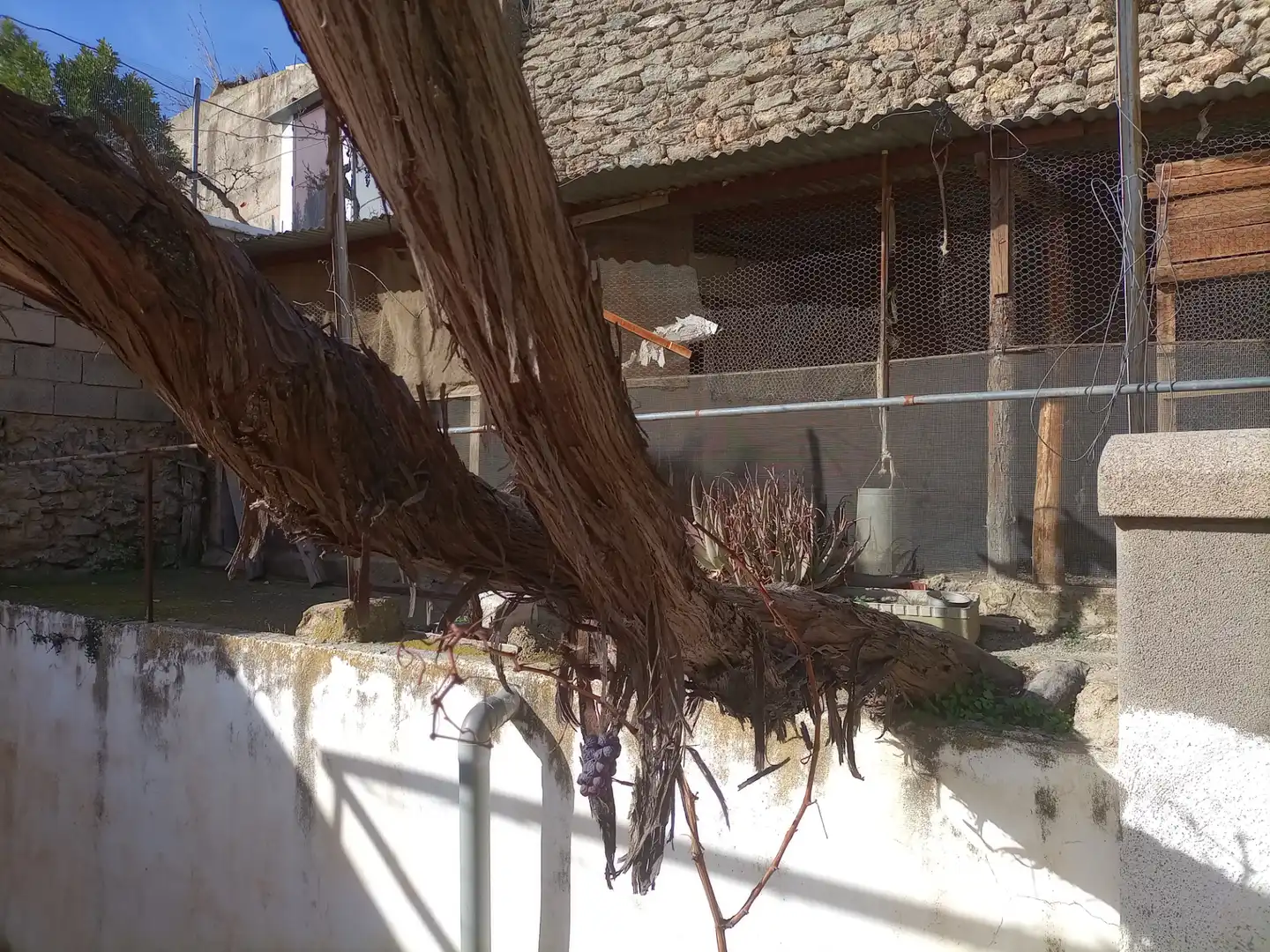 Jardí de Casa o xalet en venda en Alpujarra de la Sierra amb Aire condicionat, Calefacció i Jardí privat