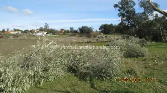 Terreni e lotti in vendita a Arroyo de la Luz, imagen 21