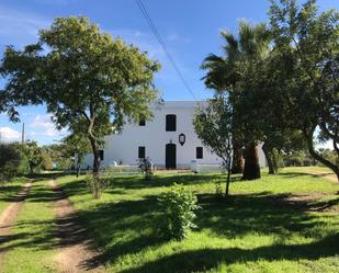 Vista exterior de Casa o xalet en venda en Villamanrique de la Condesa