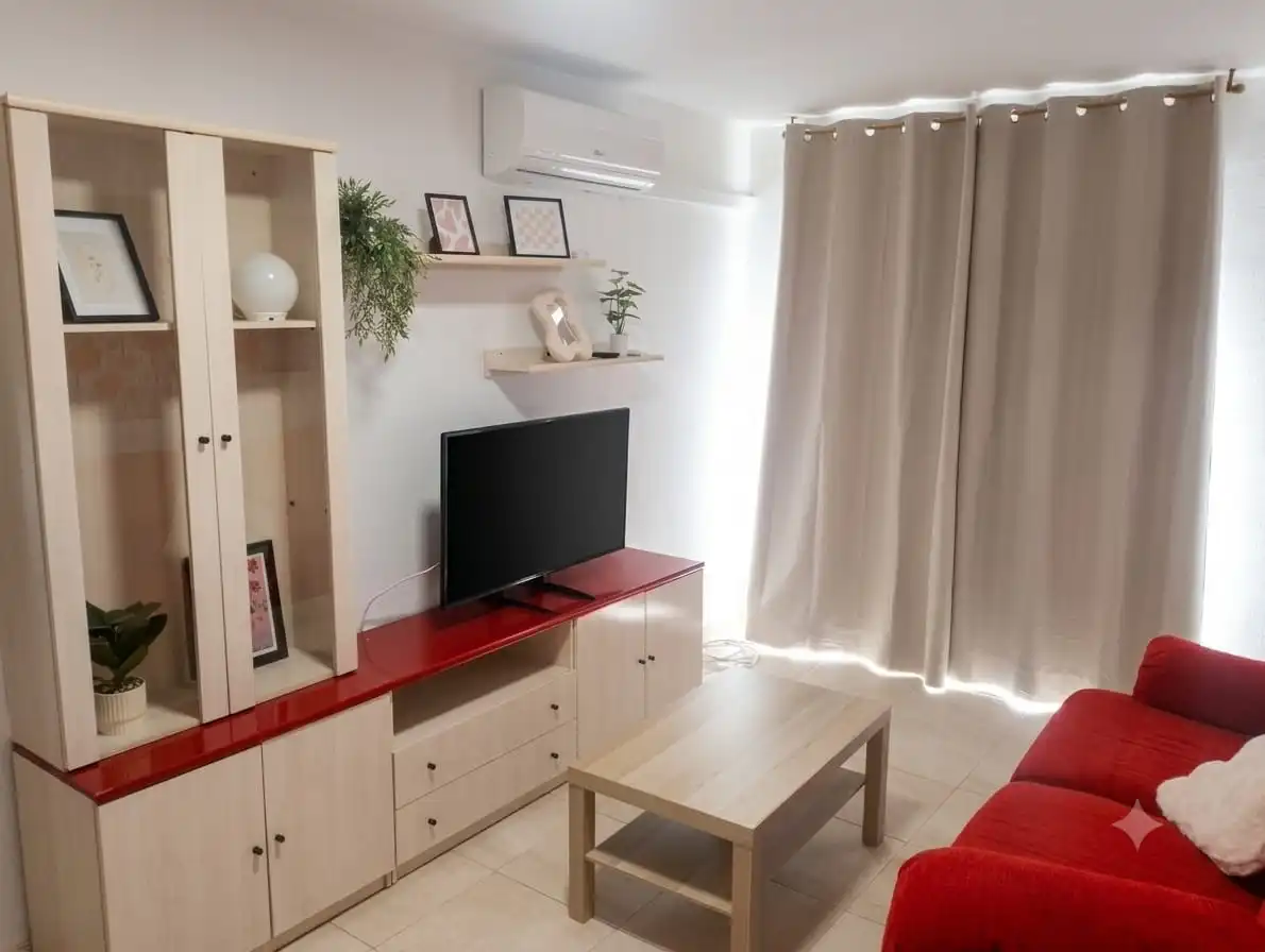 Living room of Flat for rent in Murcia  with Furnished, Oven and Washing machine