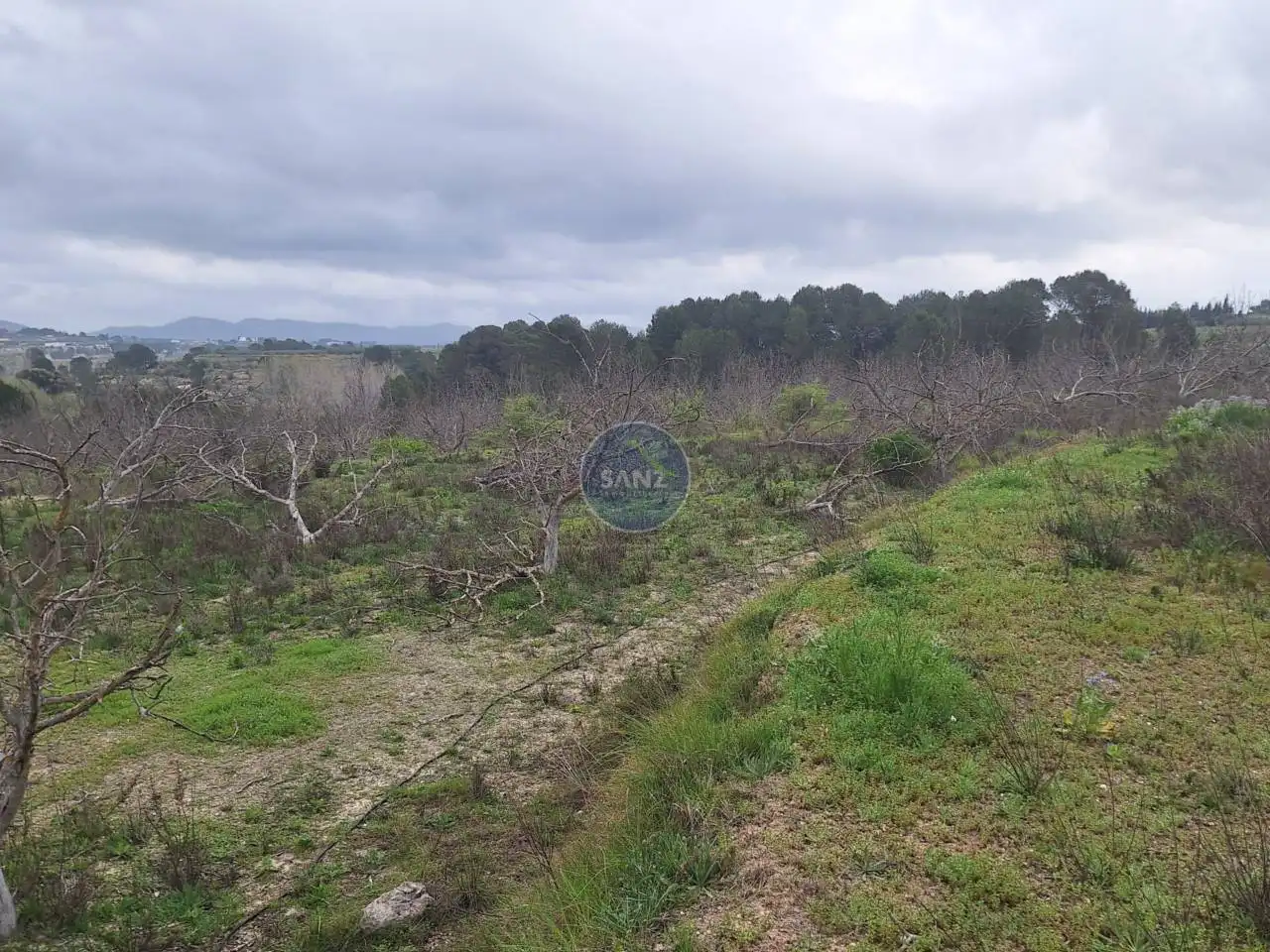 Terreny rústic en venda a Pda Barranc de l´Algar, imagen 11