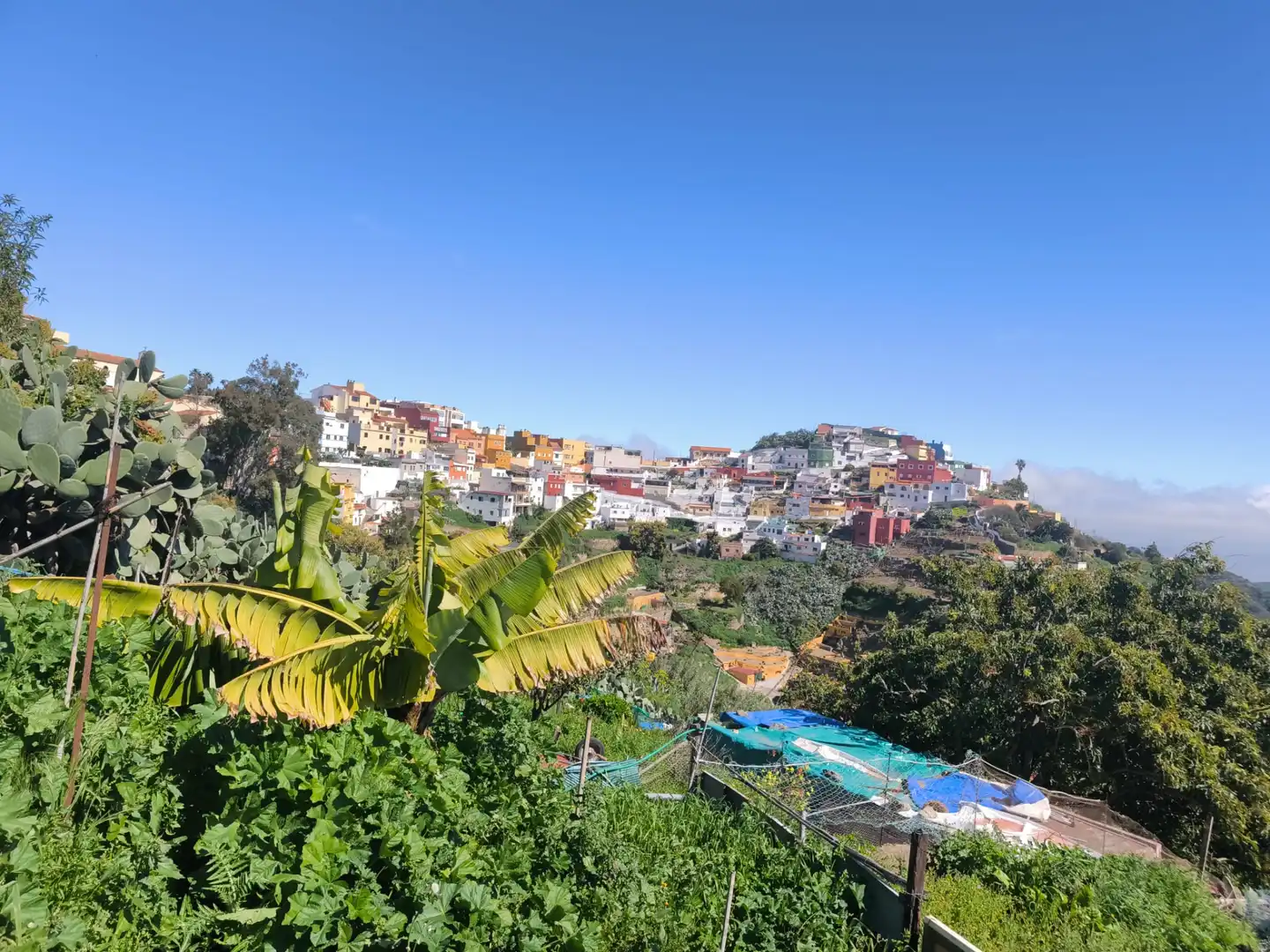 Vista exterior de Terreny en venda en Santa Brígida