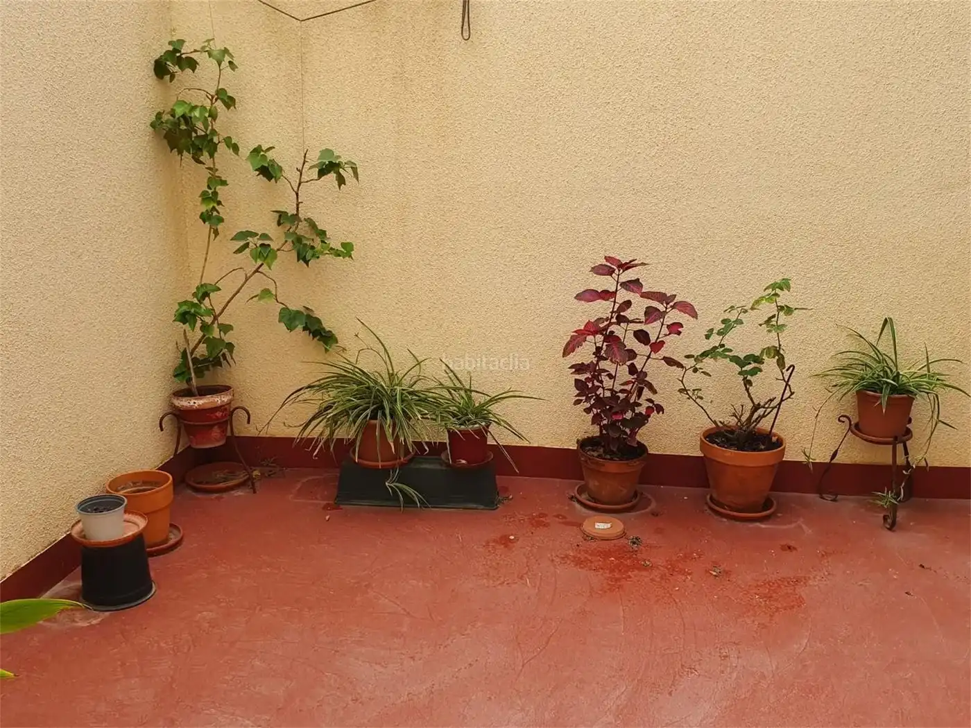 House for sale in Calle Cervantes 7, imagen 3