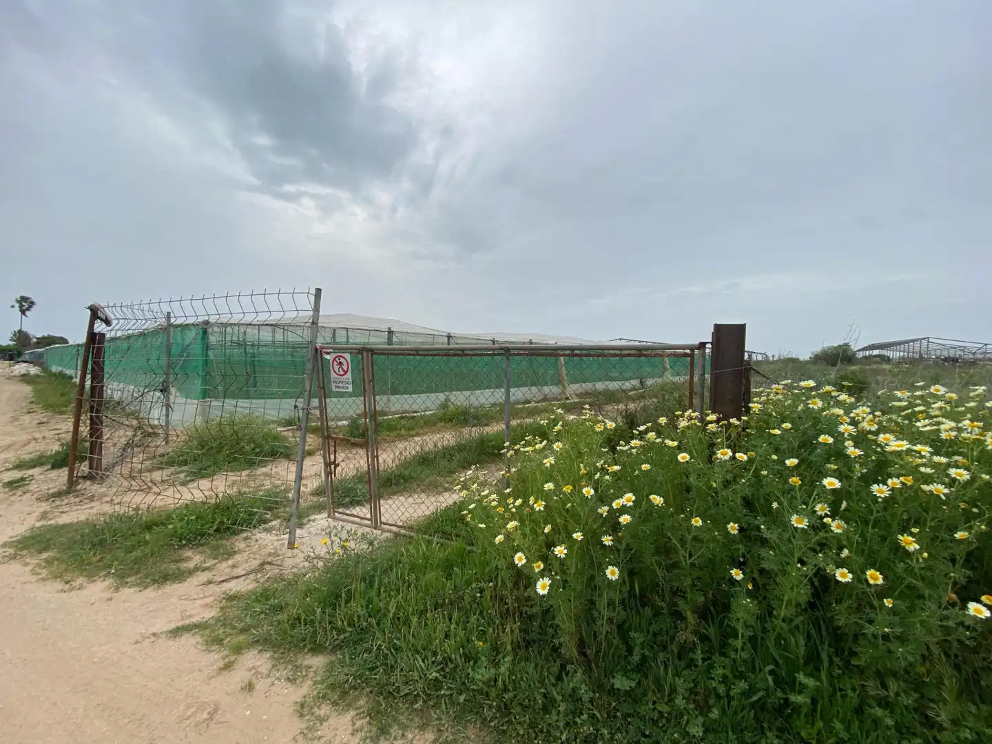 Terreno rustico in vendita a Las Tres Piedras - Costa Ballena, imagen 2