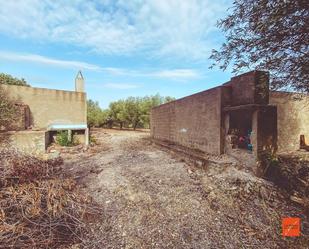 Finca rústica en venda en Sant Carles de la Ràpita