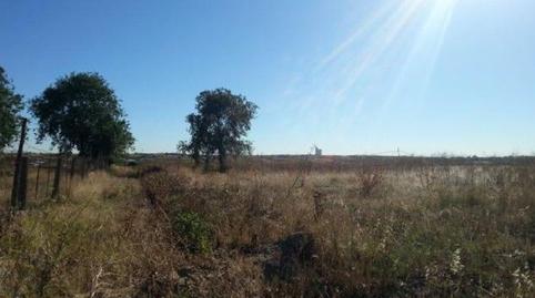 Foto 2 de Residencial en venta en Pozos Viejos, El Pijorro, Madrid