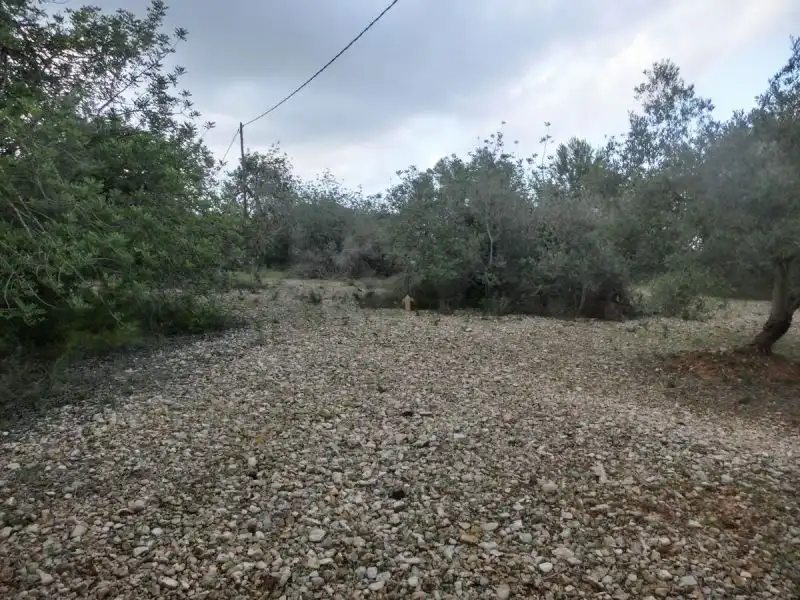 Terreno industrial en venta en La Ràpita
