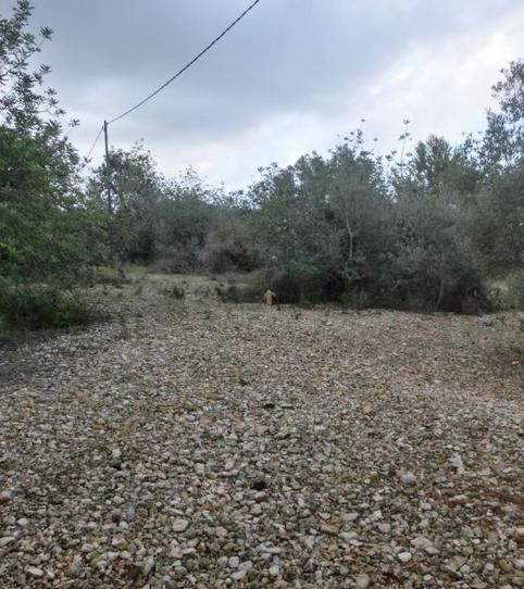 Photo 2 of Industrial land for sale in Centre, Tarragona