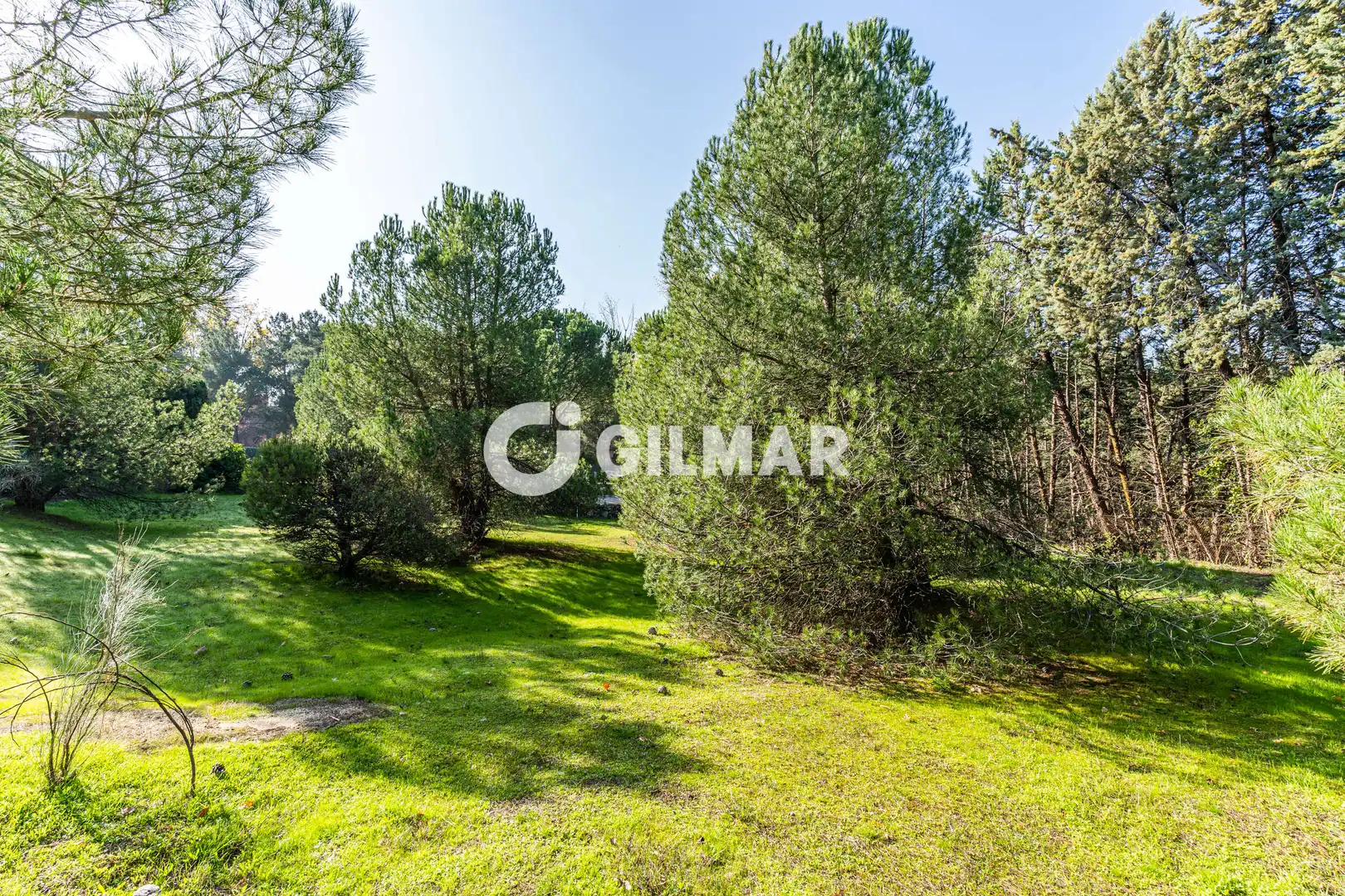 Casa o xalet en venda en Monte Rozas