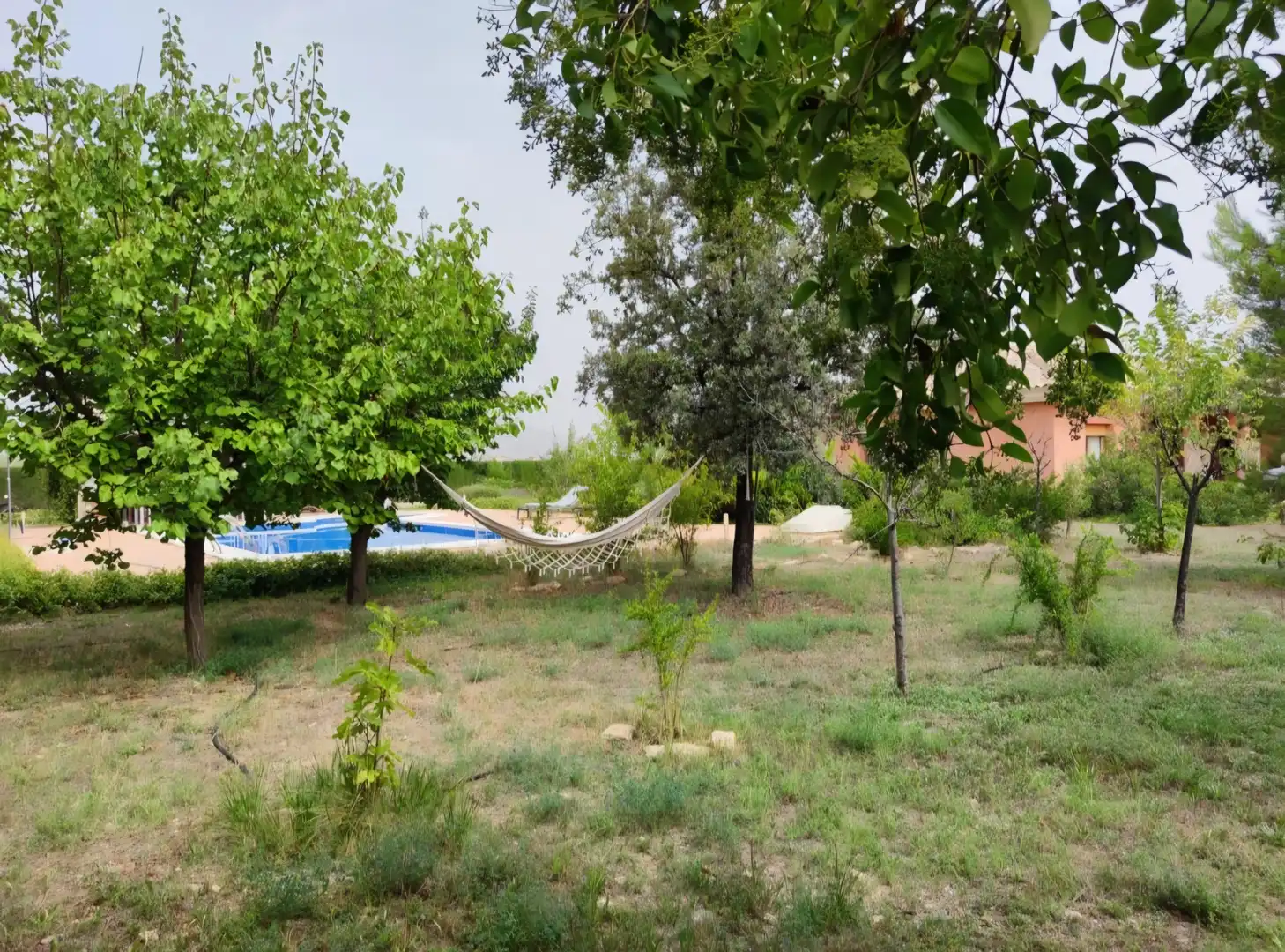 Jardí de Finca rústica en venda en Caravaca de la Cruz amb Jardí privat, Piscina i Moblat