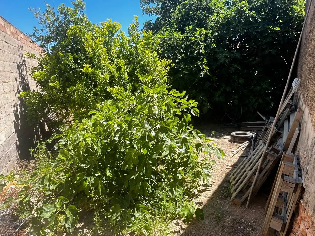 Finca rústica en venda a Los Sáez-las Beatas, San Pedro del Pinatar ciudad
