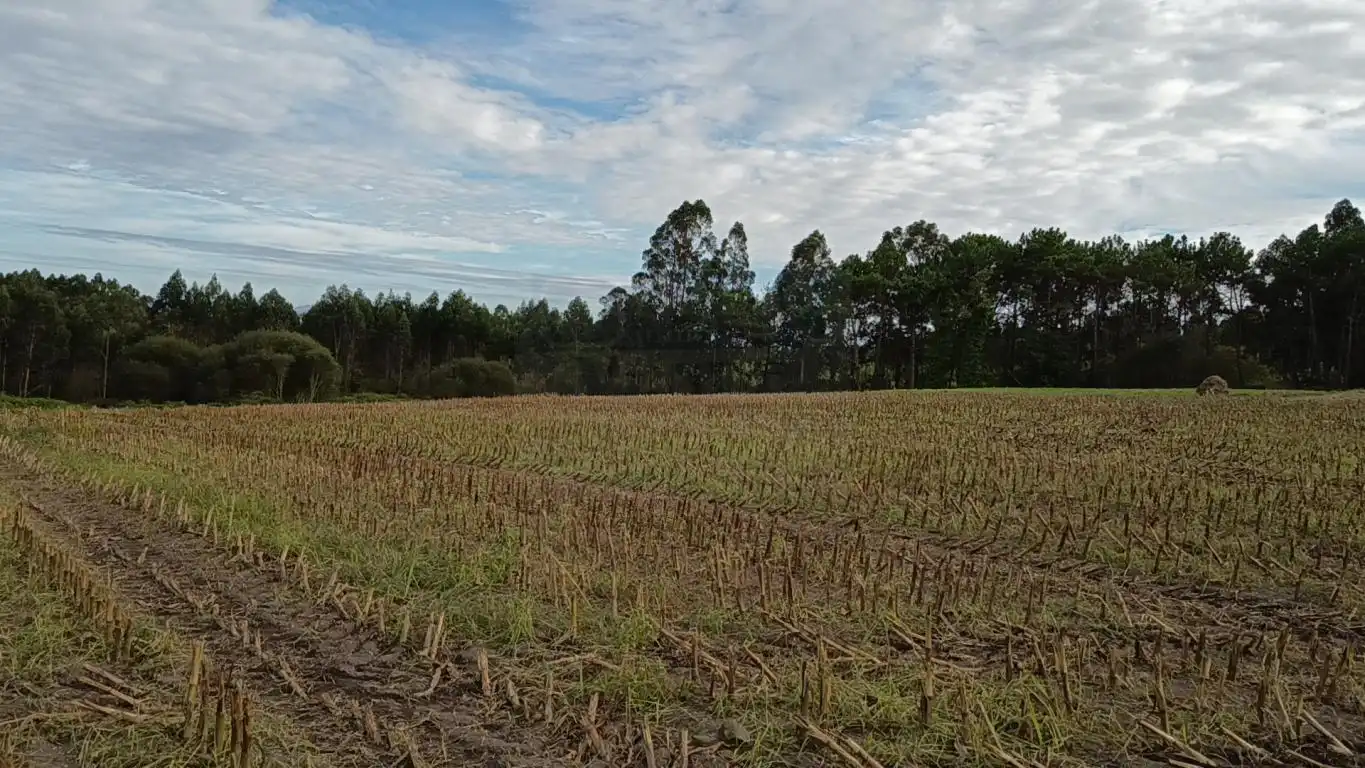 Terreno rústico en venta en Aldea Cabañas, imagen 29