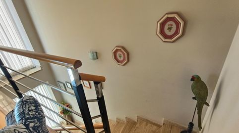 Photo 2 of Houses for sale in la Plana, Plaza Illes Columbretes, Castellón de la Plana / Castelló de la Plana