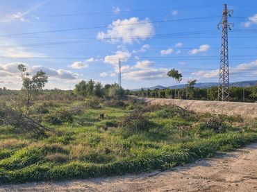 Terreni e lotti in vendita a Oeste