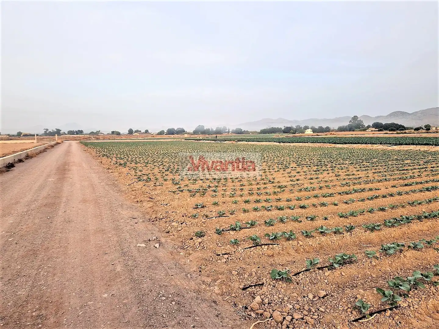 Residential land for sale in Pedanías Centro, imagen 4