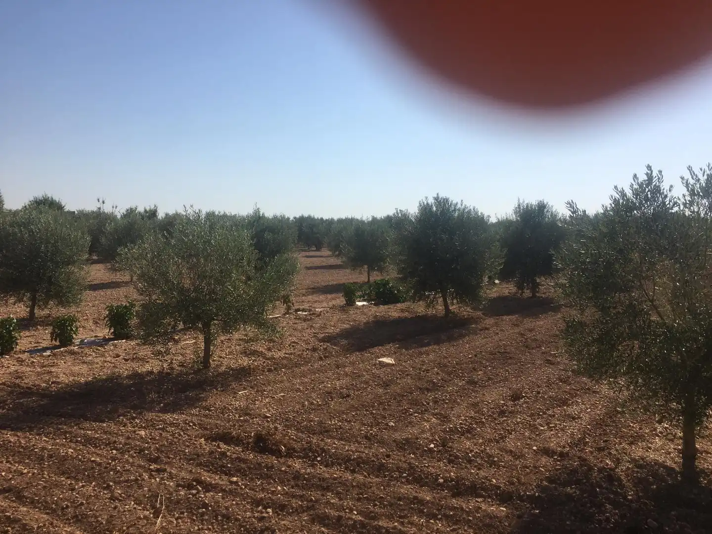 Terrenys i solars en venda a La Villa de Don Fadrique, imagen 12
