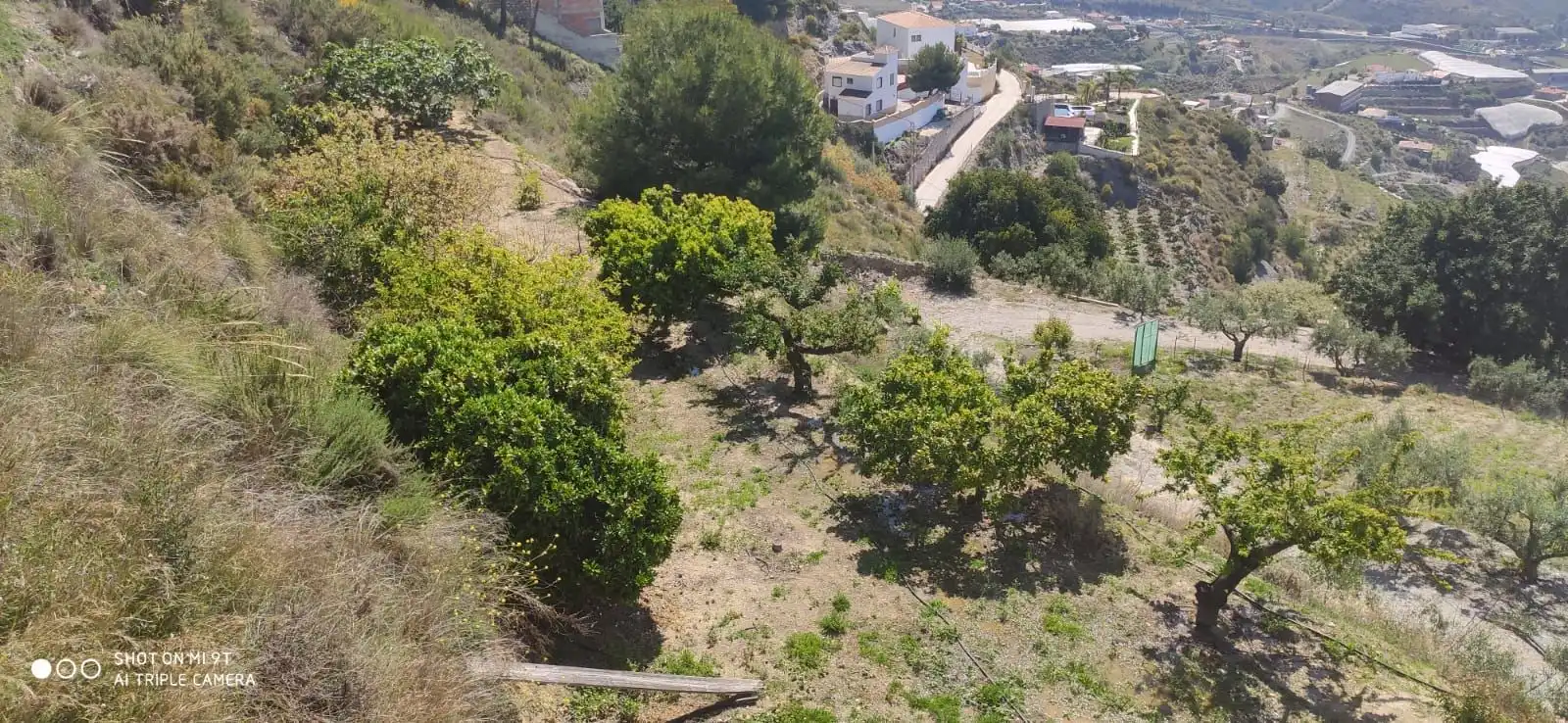 Casa rústica amb piscina en venda a Motril  ciudad, imagen 4