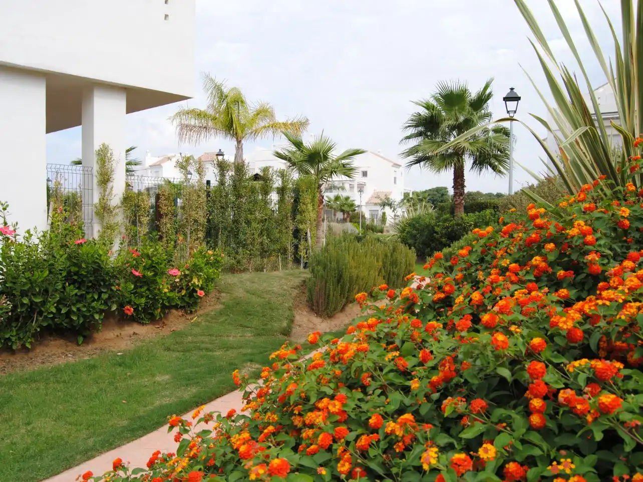 Jardí de Pis en venda en Chipiona amb Terrassa