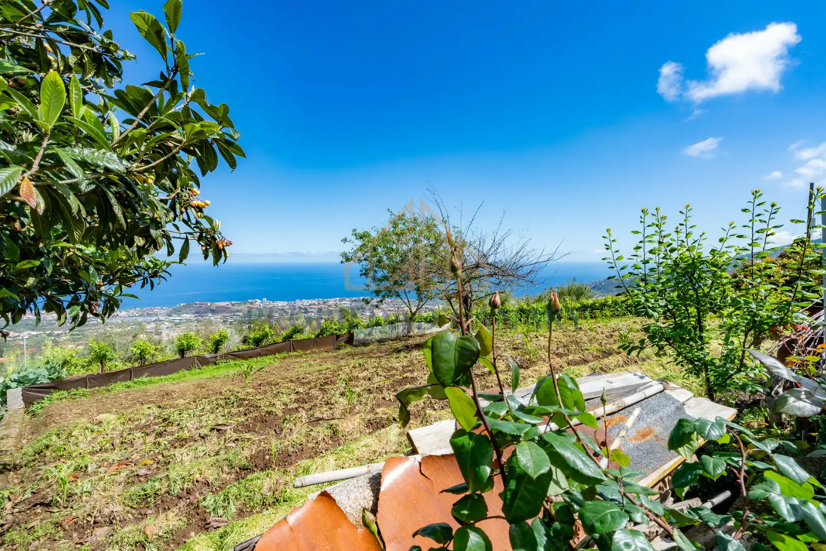 Casa rústica con jardín en venta en La Perdoma - San Antonio - Benijos, imagen 13
