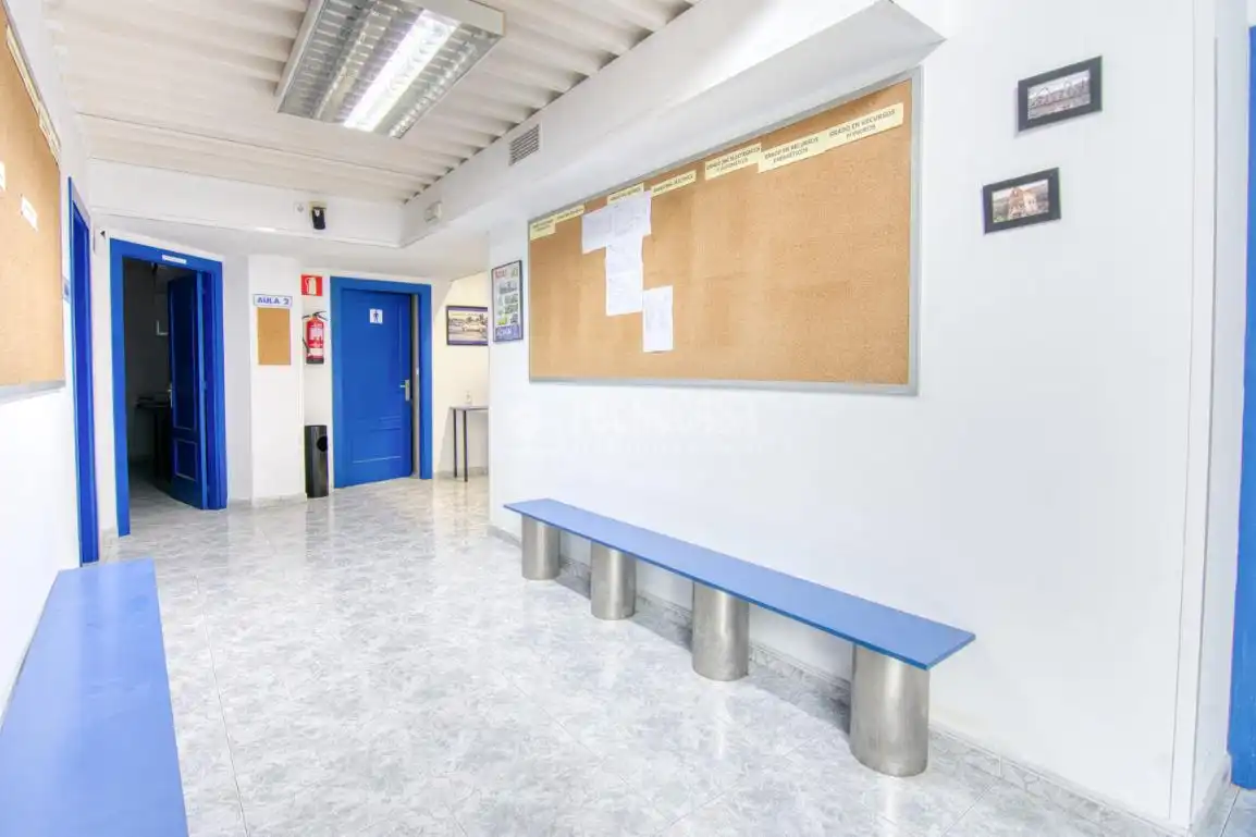 Local comercial en venta en Los Castros, imagen 5