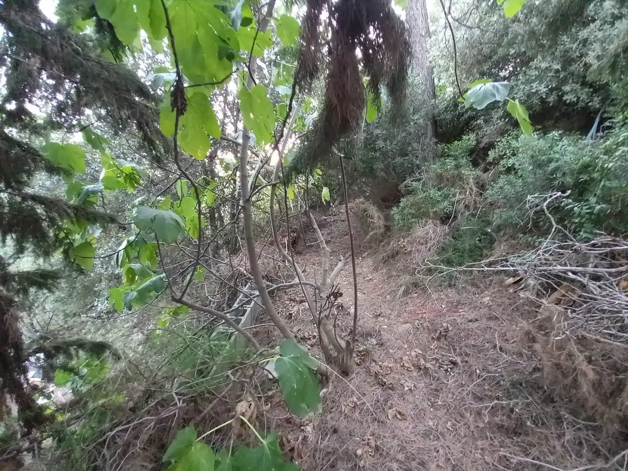Lands and plots for sale in Airesol, imagen 7