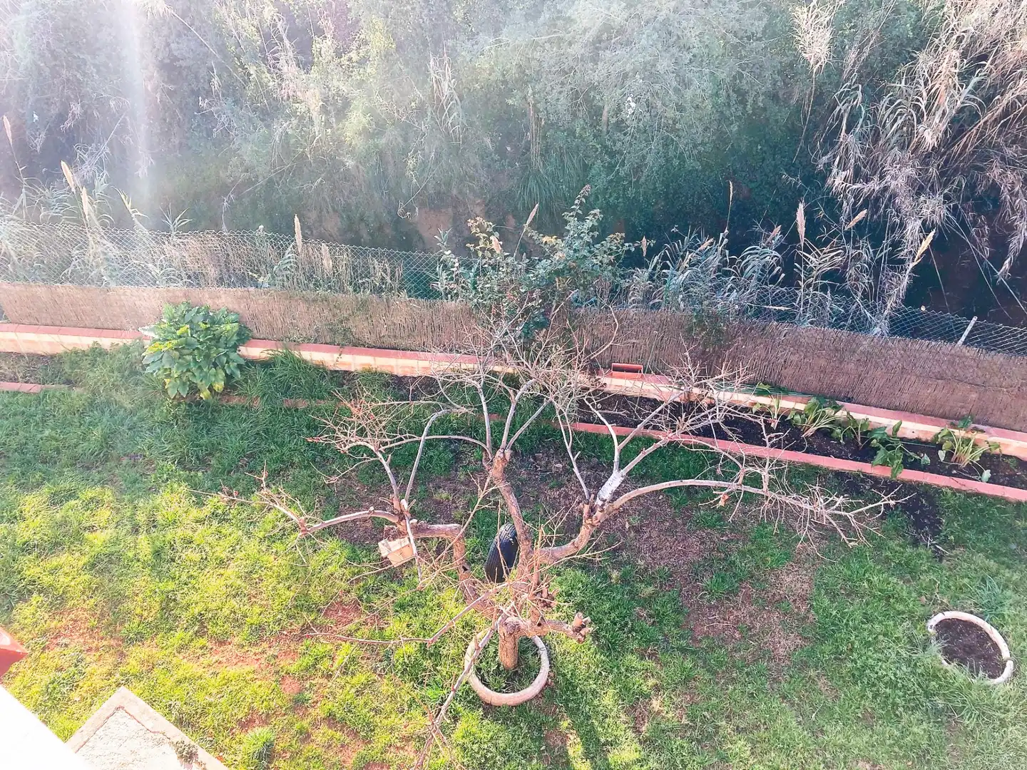 Jardí de Casa o xalet en venda en Sant Boi de Llobregat amb Jardí privat i Terrassa