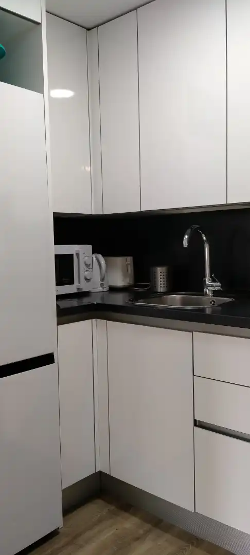 Kitchen of Flat for rent in Madrid  with Air Conditioner, Heating and Furnished