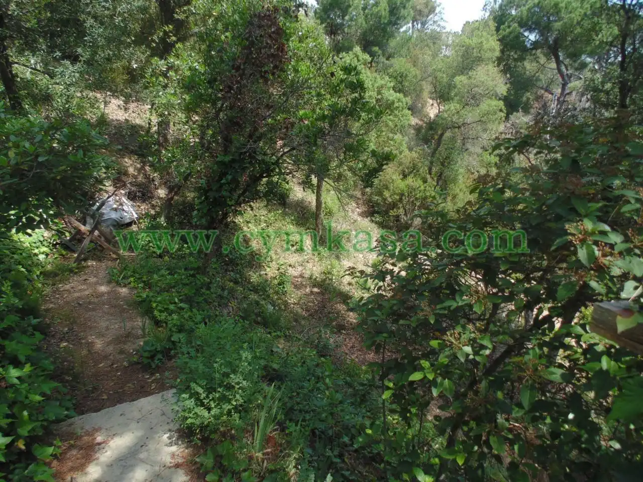 Rustikales Grundstück zum Verkauf in Serra Brava, imagen 7